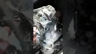 2022 01 28 Минеральная Обуховская взорвалась в авто