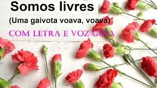 Somos livres (Uma gaivota voava, voava) - Com letra e voz guia (ECM)