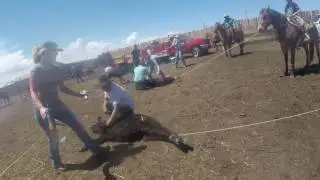 Snowy Owl Ranch Branding (clip 4-4)