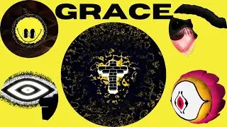 GRACE and its entities