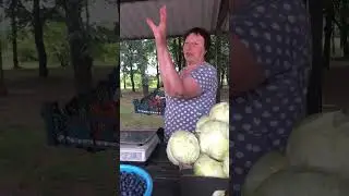 Почем клубника во Дворце?...