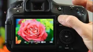 Introduction to the Canon 60D: Advanced Topics