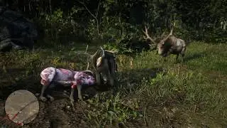 Red Dead Redemption 2 - You can't hit me, I'm in an animation, ha!