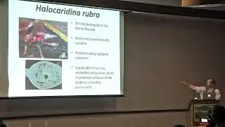 5ISAE OPENING PLENARY: "Dimensions of diversity: Halocaridina rubra." by Dr. Scott Santos