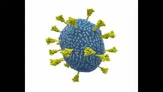 Molecular architecture and dynamics of SARS-CoV-2 envelope