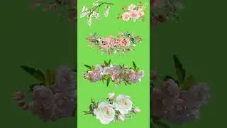 Beautiful flower on green screen