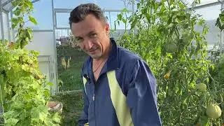 УРОЖАЙ-2024