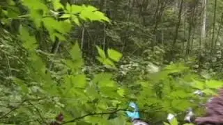 Duckabush 2008