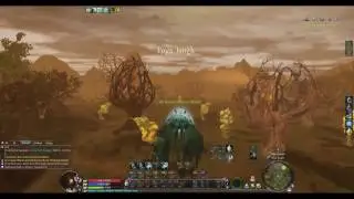 AION - Heiron CAMPAİGNS 1 - Gathering Root Samples