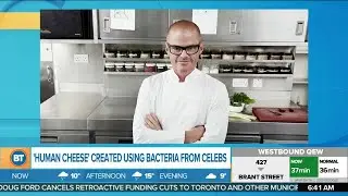 'Human cheese' curated from celebrity bacteria