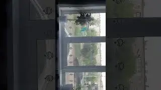 6 июня 2024 г.