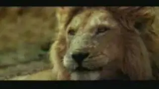 Friday the 13th in africa