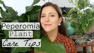 Peperomia Plant Care Tips & Tricks | Peperomia Houseplant Care!
