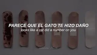 Vienna (In Memoriam) - The Army, The Navy [Sub Español // Lyrics]