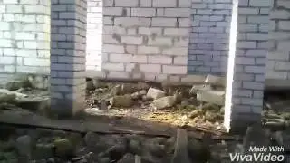 Руферы Неудачники