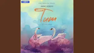 Tum 2.0 (feat. Riya Tickoo)