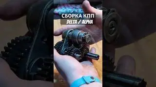 STEP-BY-STEP INSTRUCTIONS for assembling the gearbox of the Delta/Alpha moped
