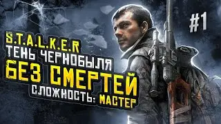 S.T.A.L.K.E.R.: Shadow of Chernobyl #1 ( БЕЗ СМЕРТЕЙ на сложности МАСТЕР)