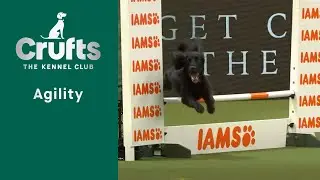 Agility Championships – Small/Medium (Agility) Part 1 | Crufts 2023