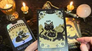 Обзор колоды «Adorable Cat Tarot» 🐈‍⬛🐈‍⬛ Восхитительные Черные котики 😻