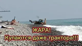 Середина весны / Лазаревское