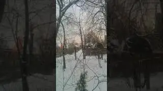 #Новый_День