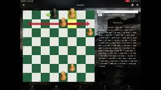 Checkmate with king!