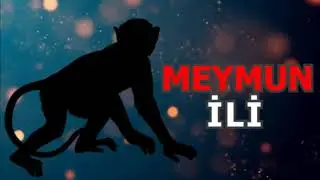 Meymun ili   1920, 1932, 1944, 1956, 1968, 1980, 1992, 2004, 2016  İllərə görə xarakterlərin təsviri