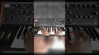 Unlocking Magic: Exploring Moog's Subsequent 37 Duo Mode Like Never Before
