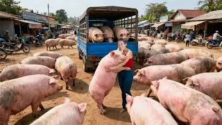 357 Days Harvesting A Lot Of Big Pigs, Chickens & Eggs, Oranges Go To Sell | Dao’s Country Life