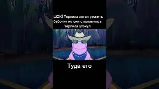 #мемы