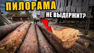 I've never sawed logs like these before! The homemade sawmill in action!