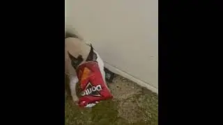 Don’t need grubhub. 
