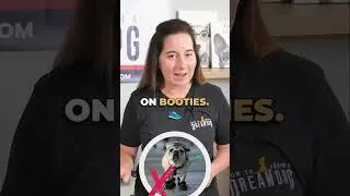 Should Your Dog Wear Clothes and Booties? #dogclothes #dogtips