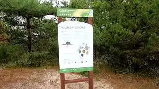 Куршская Коса Высота Мюллера Калининград