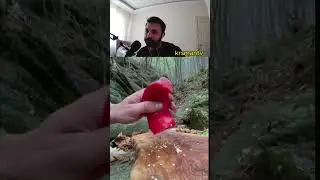 Dünyanın en güzel videoları