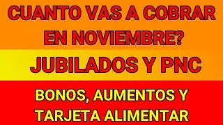 Cuanto COMO cobro EN NOVIEMBRE de 2023 - Jubilados y PNC - Bono y Aumento - Fecha de Pago Anses