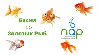Золотые рыбки