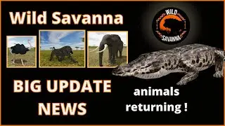 Roblox Wild Savanna - Crocodile returning! RECODE NEWS