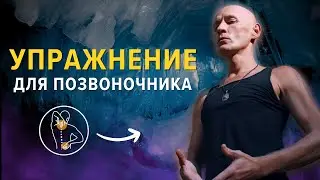 Лучшее упражнение для позвоночника! Делай его 15 минут в день и будешь здоров - Ян Спартак Поединков