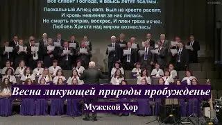 Веснa ликующей природы пробужденье. Мужской хор.