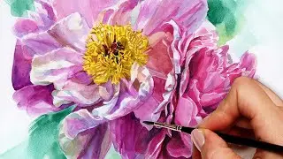 Pink Peony Flowers Realistic Watercolor Botanical Painting Tutorial