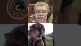 Who Must Here This