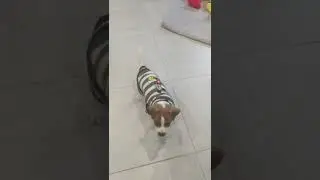 джеки чан 2 месяца