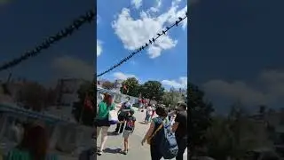 очень много голубей в Буйукада