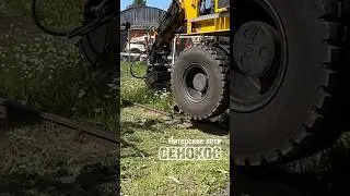Сенокос по-питерски #shorts