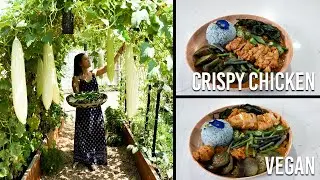 #filipino  🇵🇭 A must try Filipino dish: Kare Kare | Garden to Table | ep.10