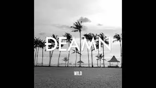 DEAMN - Wild (Audio)