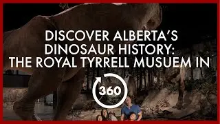 Discover Alberta’s Dinosaur History: The Royal Tyrrell Museum in 360°