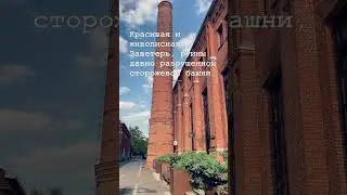 4 ДЕНЬ ВЛАСТЕЛИНА КОЛЕЦ